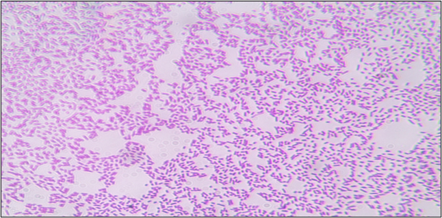 Ralstonia mannitolilytica GMB0650