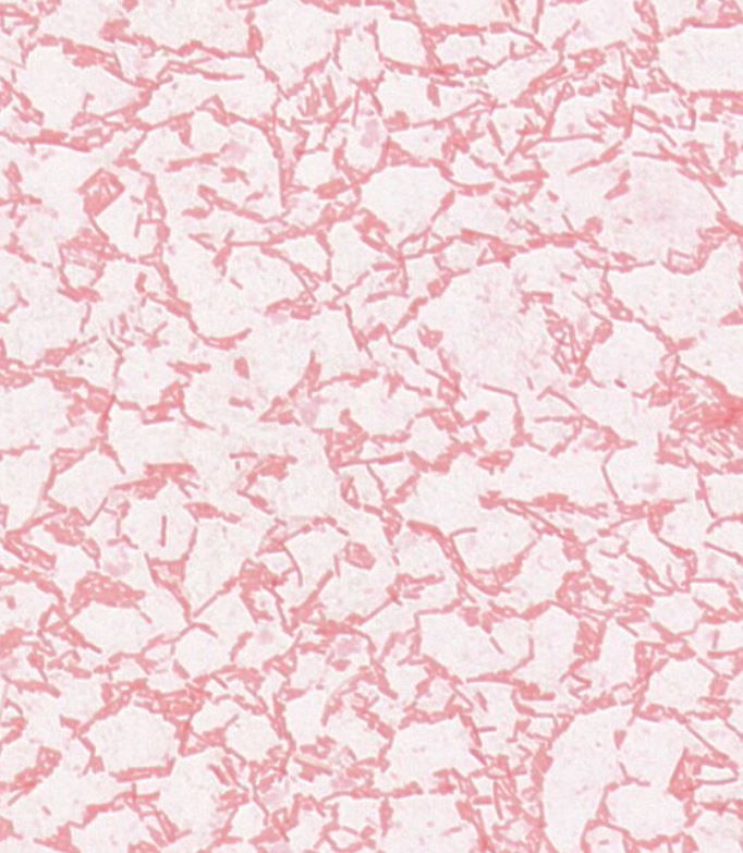 Vibrio alginolyticus GMB1483