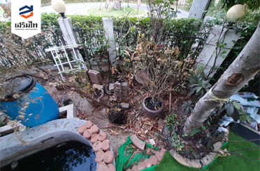 11 ไอเดียจัดสวนหลังบ้าน ทำง่าย งบประหยัด