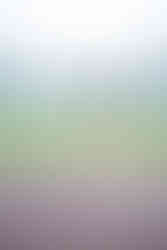 Timeless photos in a timeless place. Your 30A senior portrait with Click 30A Photography will capture the essence of your style in Seaside.