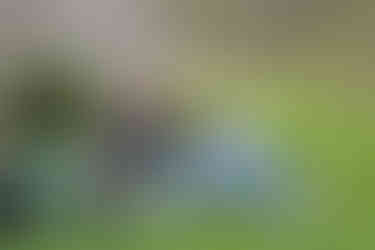 Are your friends already sharing their senior portraits in Michigan? Don't get left behind, book a mini session with Melonie Marie!