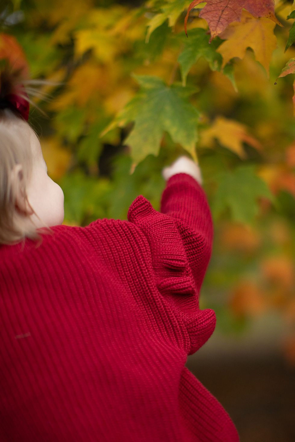 Fall children's portrait photography in Michigan with a toddler enjoying autumn leaves