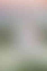 Their hand-in-hand pose embodies unity and love in this heartfelt 30A Maternity Portraits capture.