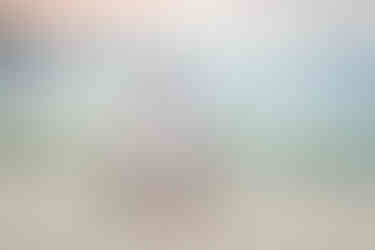 Family group arranged on the dunes in a 30A Photo Mini Session; book fast family portraits while on 30A and rely on Click 30A Photography as an experienced and professional photographer.