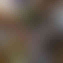 30A Photographer captures magazine styled images