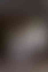 Seaside Beach elopement packages