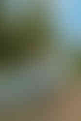 Let your Senior Portraits narrate a story of grace and acceptance across the Teen Style Ambassador Leadership Program serving Christian teens from sea to shining sea.