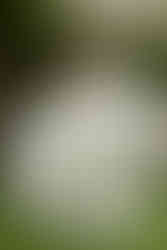 Imagine your "30A Wedding" day, beautifully documented and ready to be cherished forever.