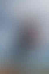 I'm so proud of these authentic and personal Michigan Senior Portraits.