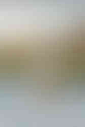 Unlike other options, Click 30A Photography is the 30A Photographer that comes to you at your vacation rental.