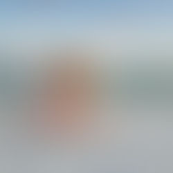 How to Plan a Surprise Proposal in 30A at Seagrove Beach