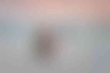 Alys Beach Photographer Family Mini Session