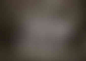 Laughing and smiling, the ladies lift their stylish cocktails in a toast. Each drink is garnished with fruit and adorned with playful straws, adding to the festive atmosphere.