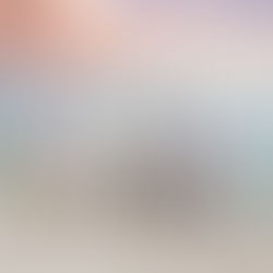 Where can I book a beach portrait session in Santa Rosa Beach?