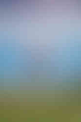 That special pink mitt made for some truly unique Michigan Senior Portraits.