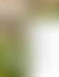 Through powerful Senior Portraits, participants in the Teen Style Ambassador Leadership Program inspire Christian teens coast to coast to embrace their God-given bodies.