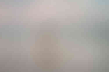 Perfect beach day portraits. Best photographers for group beach sessions in Florida Panhandle.