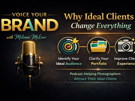 What is SEO for Photographers | Power of Print Photography Club