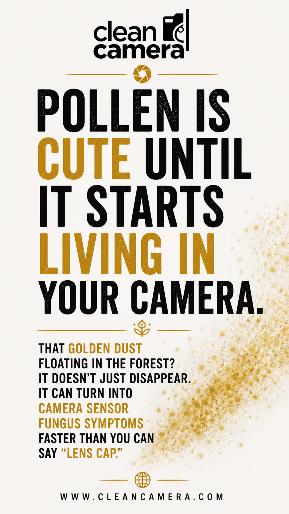 Strange spots, hazy images, and creeping softness could be Camera sensor fungus symptoms reminding you that the forest always wins without proper care.