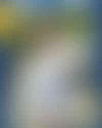 The Bay Haven Charter Academy fall sports team poses for their official Media Day photos, shot by a Panama City photographer.