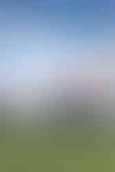 From the pitcher's mound to the dugout, we covered all the bases for these Michigan Senior Portraits.