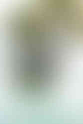 Ready to command attention? The right 30A Photographer can make it happen.