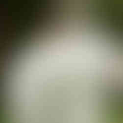 As a 30A Wedding Photographer, capturing weddings at Monet Monet in Grayton Beach allows us to highlight both intentional design and authentic emotional moments.