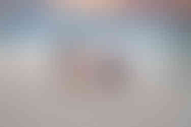 Inlet Beach Photographer in 30A