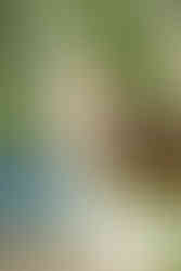 Let us capture the magic of your 30A Wedding and create a legacy of beautiful memories.