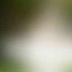 As a 30A Wedding Photographer, capturing a wedding at Monet Monet in Grayton Beach means documenting a perfectly styled coastal celebration from start to finish.