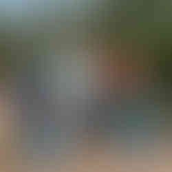 Christmas Mini Sessions with 30A Photographer