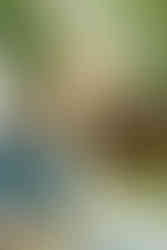 Book your "30A Wedding" with us and receive unparalleled service and exceptional photography.