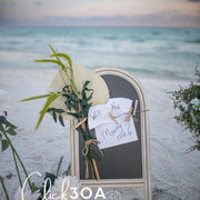 From Planning to Execution: Your Guide to Perfect 30A Surprise Proposals