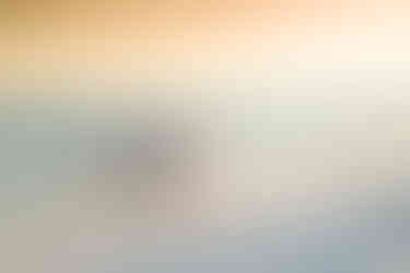 You can secure your 30A Photographer from Click 30A Photography with just a few clicks on their website.