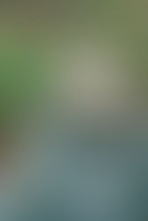 Ready to stop using generic stock photos and start building a real connection with a 30A brand photographer?