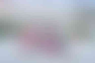 Candid moments captured by a 30A Photographer.