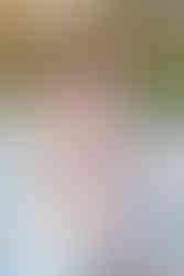 30A Photographer in Rosemary Beach