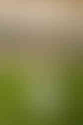 enior Portraits showcase your authenticity and empower you to lead with healthy self-esteem in a nationwide community of Christian teens.