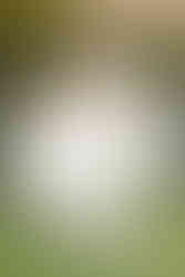 We are experts at capturing the light, the landscape, and the love of your "30A Wedding."