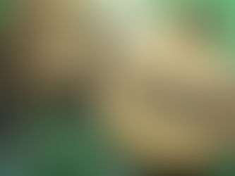 Cryptocurrency - สกุลเงินดิจิตอล คืออะไร?