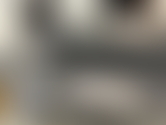 KOCH CHEMIE - Car Care for Matt Paints | การดูแลรักษารถสีด้าน