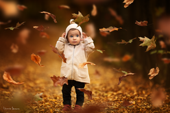_DSC0532-2.png