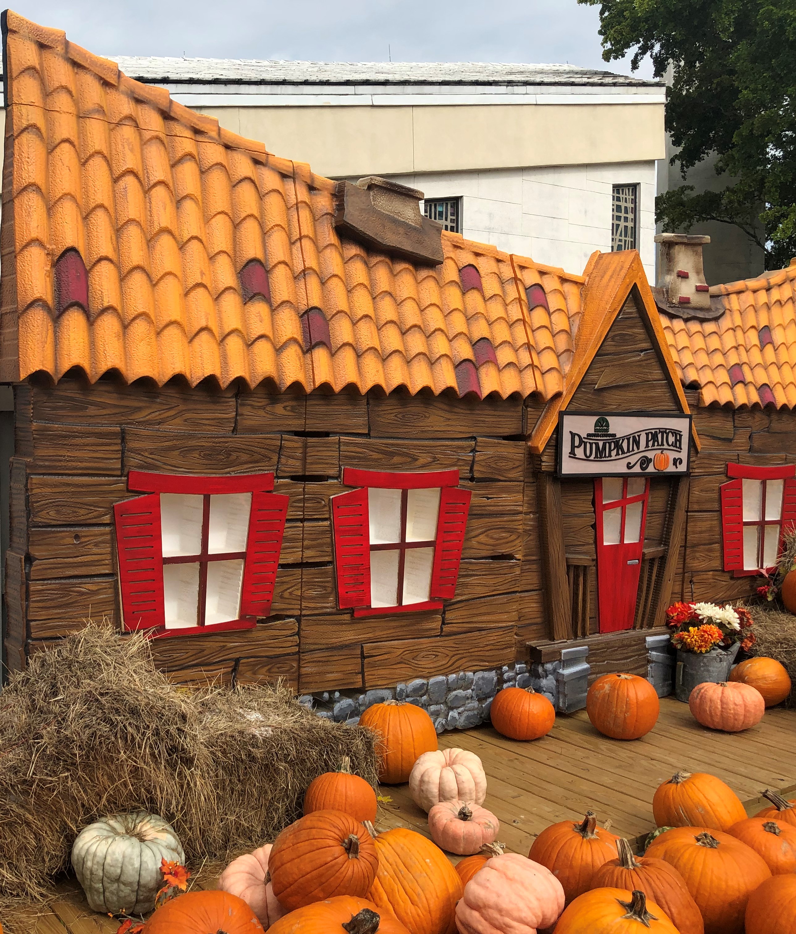 Hope Miami Lakes UMC — 28th Annual Pumpkin Patch