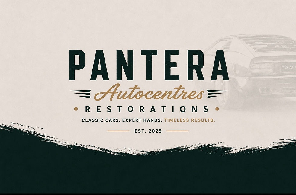 pantera 1.jpg