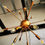 Thumbnail: Eurofase 14-Light Abstract Standard Chandelier