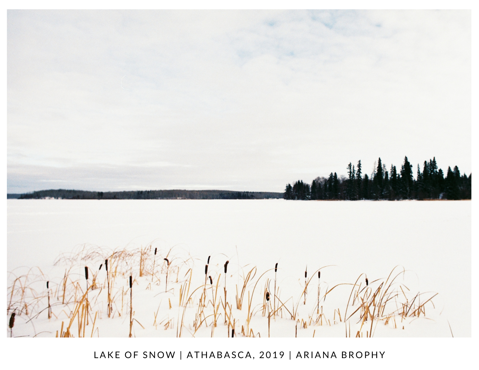 Lake of Snow - Postcard