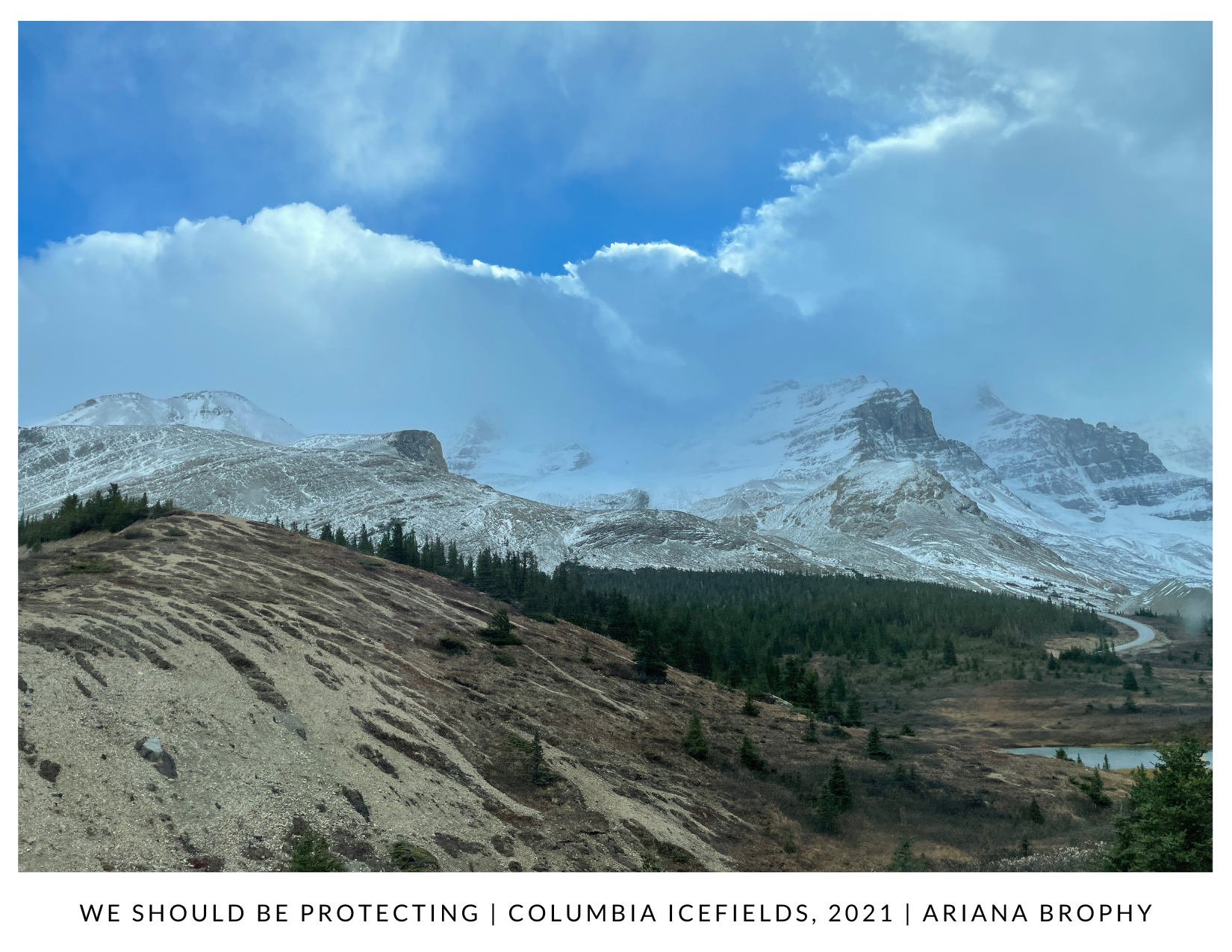 We Should Be Protecting - Postcard