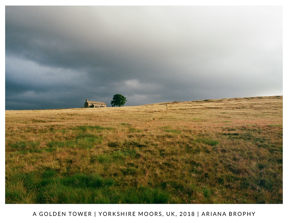 A Golden Tower - Postcard