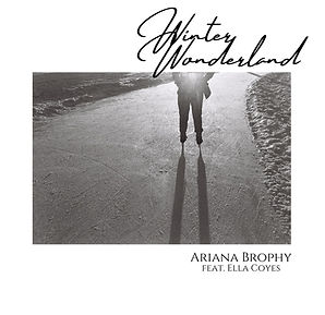 Winter Wonderland (toosmall).jpeg