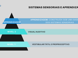 OS SISTEMAS SENSORIAIS E A APRENDIZAGEM ( PARTE 1 )